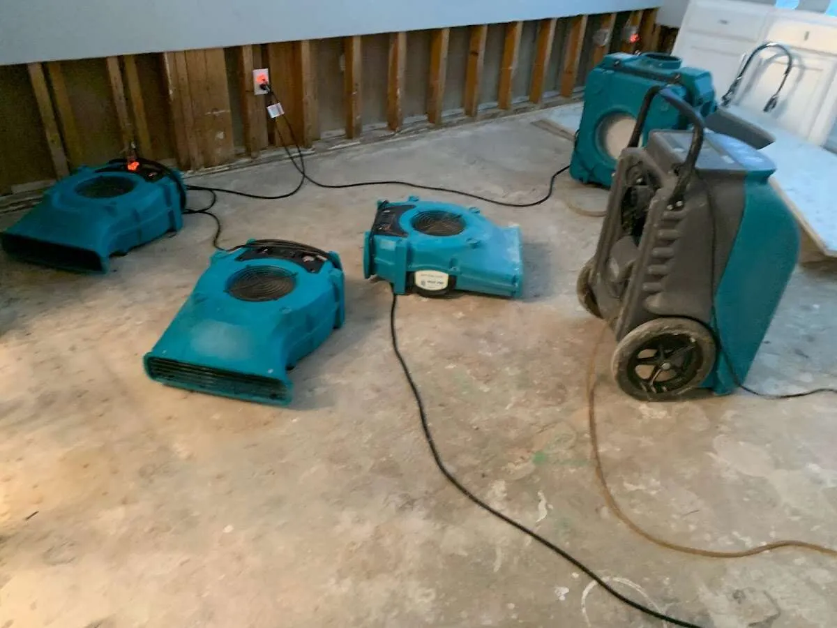 Drying & Dehumidification in Ilion, NY